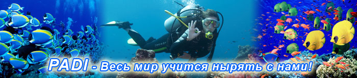обучение дайвингу по системе PADI в Донецке