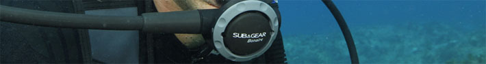 Sub Gear