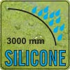 Silicone