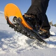 Снігоступи