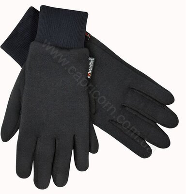 Перчатки Extremities Hi Wick Thicky Glove