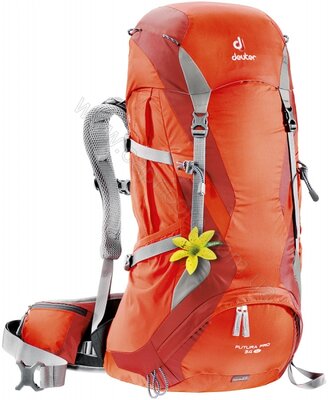 Deuter Futura Pro 34 SL papaya-lava (34264 9503) жіночий