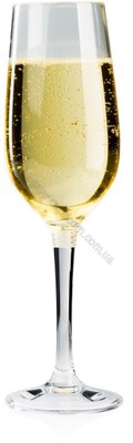 Келих GSI Outdoors Nesting Champagne Flute