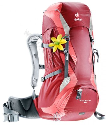 Deuter Futura 30 SL spring-silver (34244 2415) жіночий