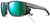 Очки Julbo Shield 506 11 20 GRIS MAT SP3