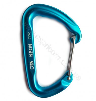 Карабин First Ascent NEON light blue