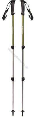 Трекінгові палиці Black Diamond TRAIL EXPLORER 3 TREKKING POLES