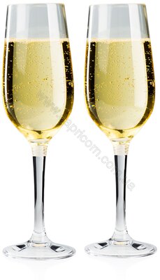 Набір GSI Outdoors NESTING CHAMPAGNE FLUTE SET