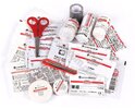 Аптечка Lifesystems TRAVELLER FIRST AID KIT