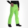 Штаны горнолыжные Rehall Capital Brite green Brite green L (INT)