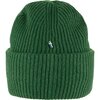 Шапка Fjallraven 1960 LOGO HAT Palm Green