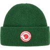 Шапка Fjallraven 1960 LOGO HAT Palm Green