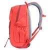 Рюкзак городской Deuter GOGO Currant - redwood