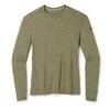 Термобілизна блуза Smartwool Men's Merino 250 Base Layer Crew Winter moss Winter moss L (INT)