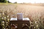 Кружка Tribe  Camping Cup