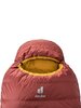 Спальный мешок (спальник) Deuter Спальник Astro 300 3711021