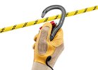 Карабін Petzl Vertigo Twist Lock