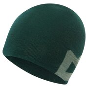 Шапка Mountain Equipment Branded Knitted Beanie Pine/Sage