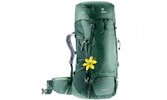 Рюкзак туристичний Deuter Futura Vario 45+10 SL (3402018 2247) Seagreen - forrest