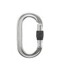 Карабін Black Diamond OVAL Keylock SG Polished
