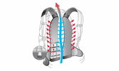 Рюкзак детский Deuter Junior