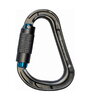 Карабин First Ascent Gaston Autolock
