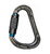 Карабін First Ascent Gaston Autolock