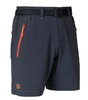 Шорти Ternua Fris Short K-Whales grey