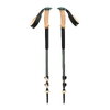 Трекінгові палиці Black Diamond Trail Cork Trekking Poles