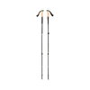 Трекінгові палиці Black Diamond Trail Cork Trekking Poles