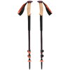 Трекінгові палиці Black Diamond Trail Cork Trekking Poles