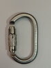 Карабин First Ascent Ovex Autolock