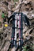 Треккинговые палки Tribe Z-Pole Alu T-ME-0024-plum