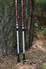 Треккинговые палки Tribe Z-Pole Alu T-ME-0024-plum