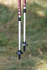 Треккинговые палки Tribe Z-Pole Alu T-ME-0024-plum