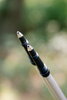 Треккинговые палки Tribe Z-Pole Alu T-ME-0024-plum