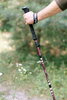 Треккинговые палки Tribe Z-Pole Alu T-ME-0024-plum