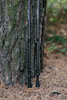 Треккинговые палки Tribe  Z-Pole Carbon T-ME-0025 Plum