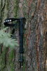 Треккинговые палки Tribe  Z-Pole Carbon T-ME-0025 Plum