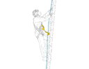 Амортизатор Petzl ASAP’SORBER INT 40 см L071AB01