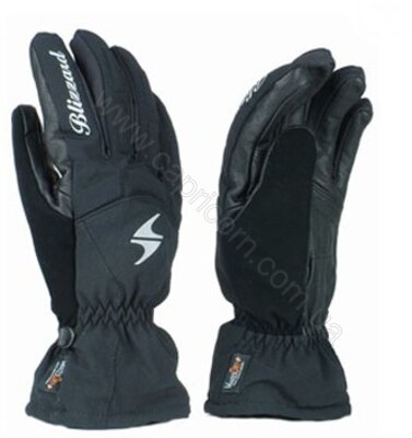 Перчатки Blizzard Professional Ski женские Black