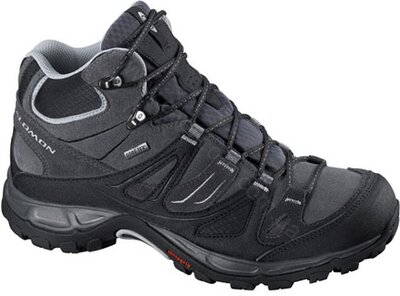 Трекинговые ботинки Salomon Ellipse Mid  GTX женские