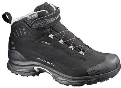 Ботинки утепленные Salomon Deemax 2 Dry